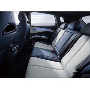 510km Pure Electric Cars