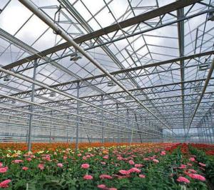 China Glass greenhouse vegetable and flower planting can be used out of season wholesale