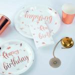 FDA Baby Shower Biodegradable Themed Gender 13th 18th 21st Birthday Compostable