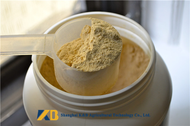 Non Allergen Lactose Free Rice Protein Nutrition For Healthy Food Addictive