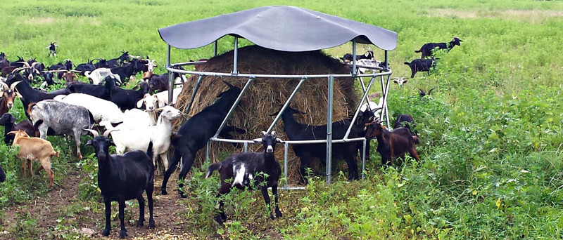 Headlock Galvanized Livestock Fencing