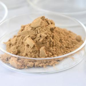 China Besthway Neutral Protease Industrial Enzyme Powder ISO22000 wholesale
