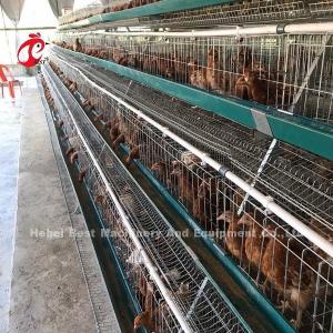 China Electric Galvanized Layer Poultry Farm Cage Anti Rust Layer Battery Cages Emily wholesale