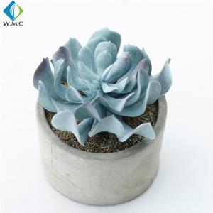 China Potted Artificial Green Plants , Fake Succulent Plants 5-10 Years Life Time wholesale