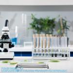 Wax Dissecting Tray Stainless Steel Thicken Dissection Pan Biological Equipment