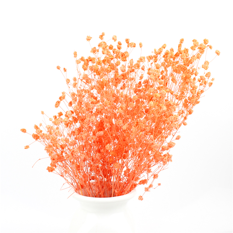 Indoor Decoration Preserved Babys Breath For Decorating Living Room