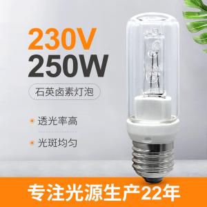 China 250 Watt Quartz Bulb Halogen E27 250w Dimmbar 230V Halolux wholesale