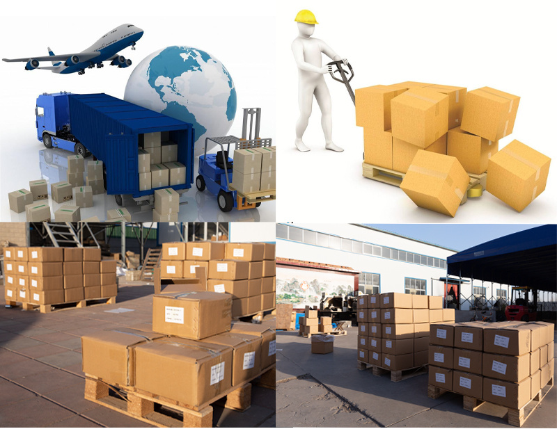 Wholesale Forged Hydraulic Pipeline Elbow Fittings Bsp Metric Male Thread Compression Tube Connector Pipe Adapter Hydraulic Fitting