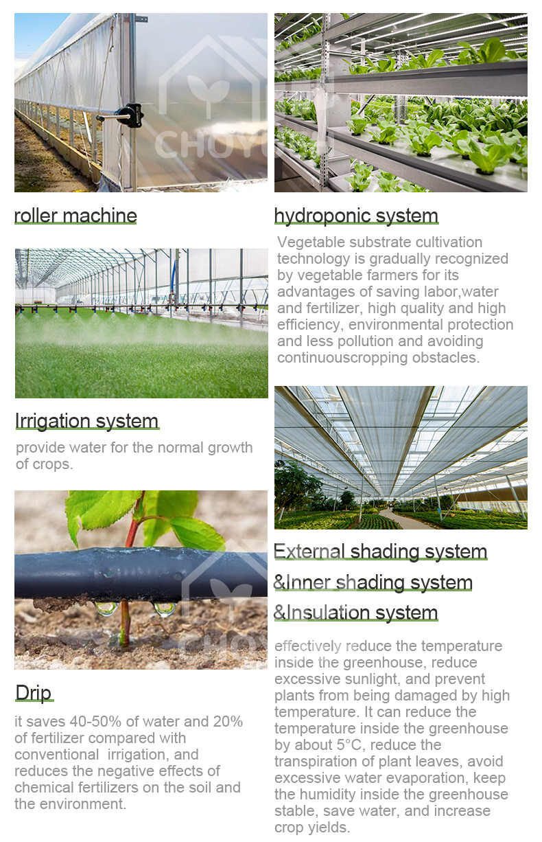 Double Layer PE Film Multi Span Film Greenhouse With Hydroponic System