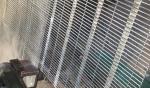 358 welded wire mesh fence