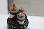 Medium Voltage Single Core XLPE Insulated Armoured Power Cable 11kv 15kv 20kv