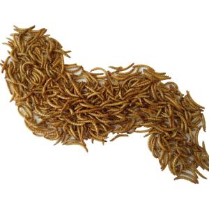 China Top-Quality Worm Meal 2 Bags/carton of 100% Pure Whole Dried Mealworms Powder wholesale