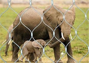 China Knotted Animal Enclosure Mesh Stainless Steel Good Corrosion Resistance wholesale
