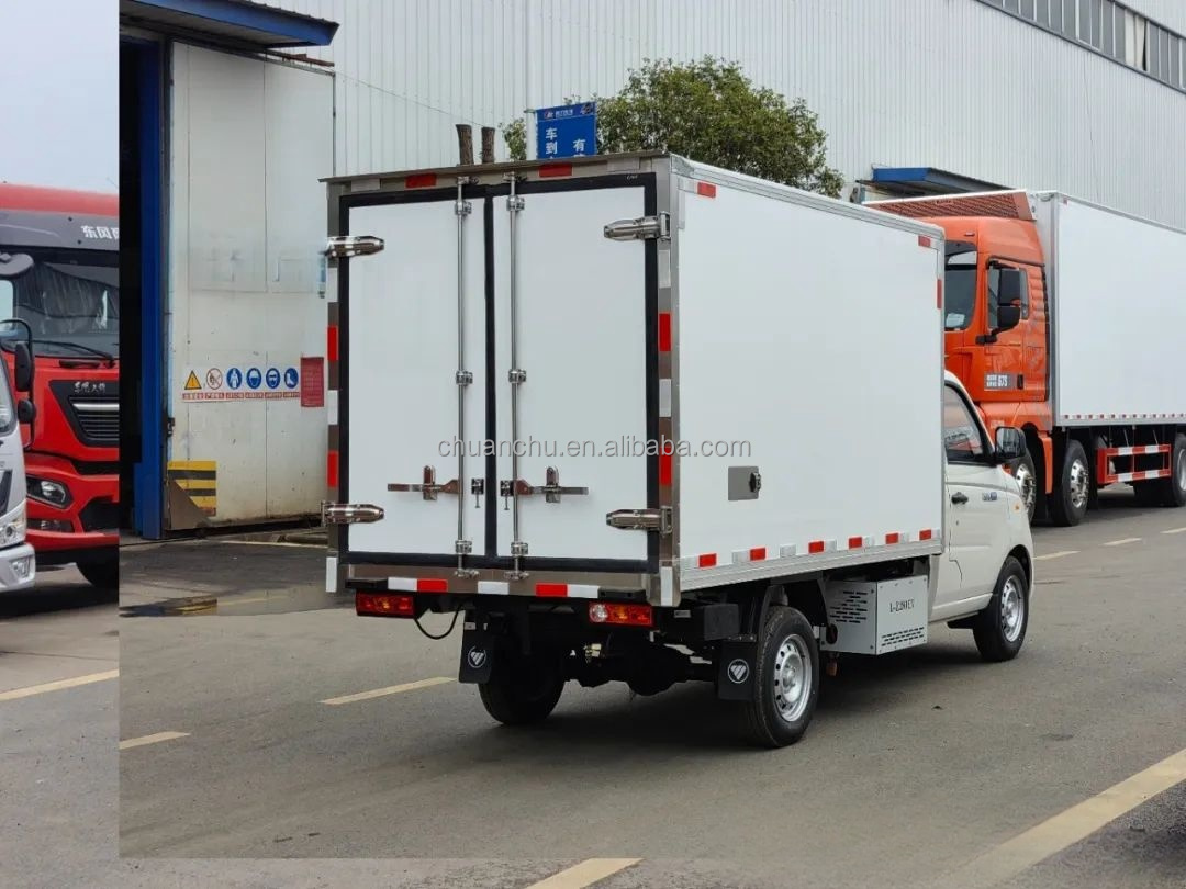 Customized Frozen Meat Delivery Trucks 4.2m Pure Electric Refrigerated Truck
