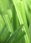 Football Grass Football Grass 55mm Sports Turf Artificial Grass