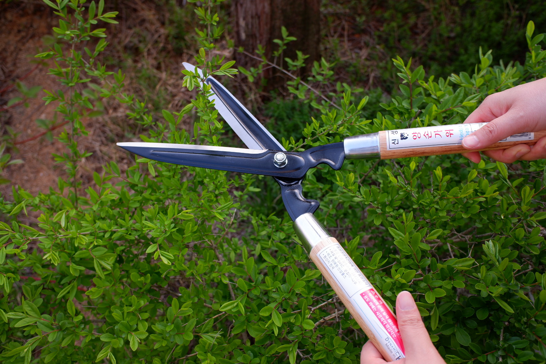 SINSEUNG SB802W Garden Hedge Shears Hedge Clippers Shears SET with Super Pruning Shears