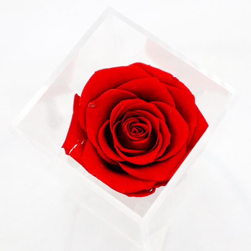 Wedding / Party Decoration Preserved Rose Flower With Long Stem