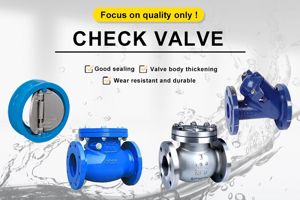 Support BS 1074 Double Orifice Valves and Fitting with Integrated Isolating Valve Air Release Valve