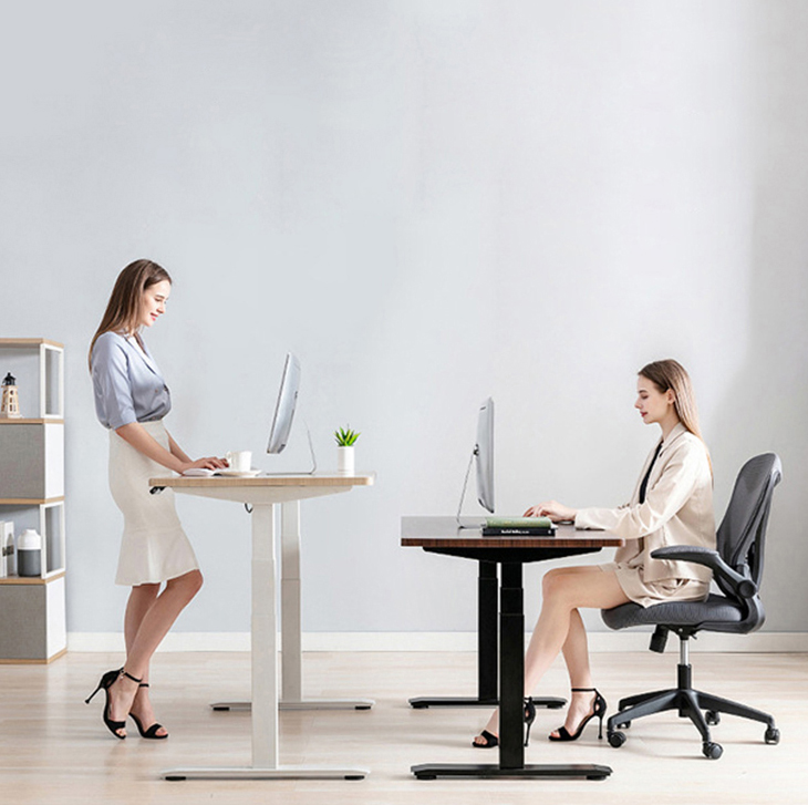 80 kgs Load Capacity Electric Sit Standing Study Table for Up/Down Operation Panel