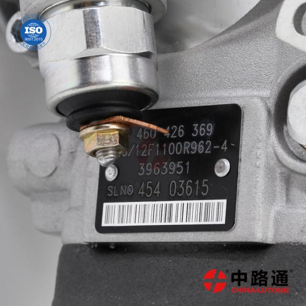 high performance 0 460 426 385 VE6-12F1100R962-6 0460426385 diesel fuel injection VE pump 5.9L 107kW for Cummins 6BTAA Engine efficey VE pump for