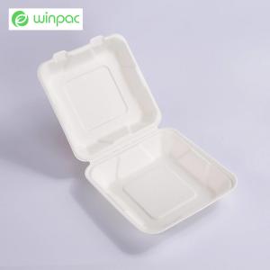 China Sustainable Compostable Sugarcane Bagasse Clamshell Takeaway Containers 8 Inch wholesale