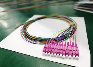 China Colorful Pigtail Fiber Optic Splitter 12 Core Ribbon OM4 Purple Connector wholesale