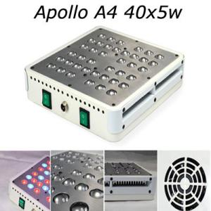 China 200w new products Hydroponic Lamp 2016 5w chip led grow light wholesale