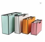 2022 Large Shopping Wide Gusset Paper Bags Pantone Colored Paper Gift Bags