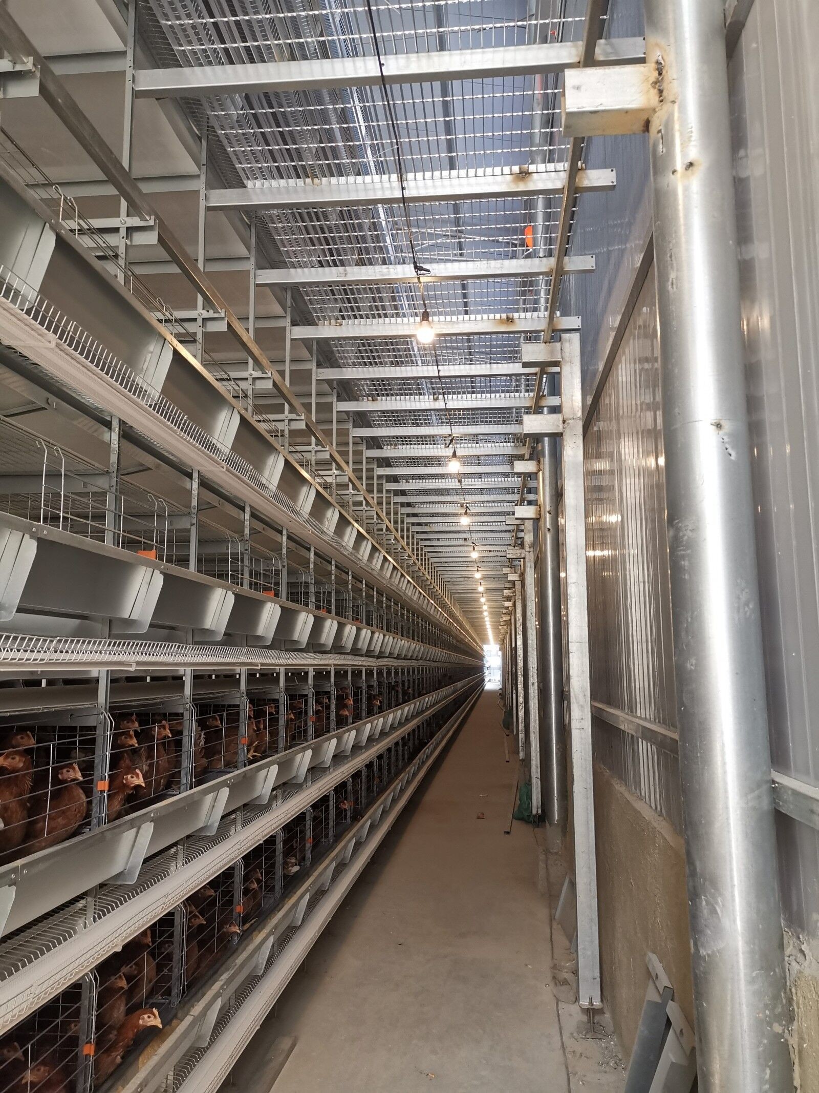 Stacking High-density Hot-dip Galvanized Layer Chicken Cages Enhances Feeding Efficiency And Productivity.