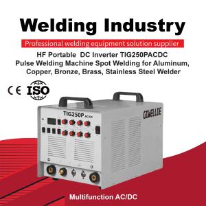 China Portable High Frequency TIG Welding Machine 220V DC Inverter wholesale