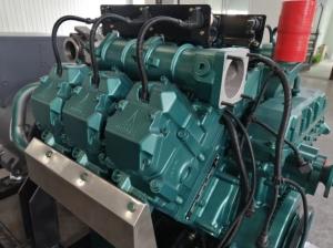 China 260KW Natural Gas Biogas LPG Power Generator CBM Gas Electricity Generator wholesale