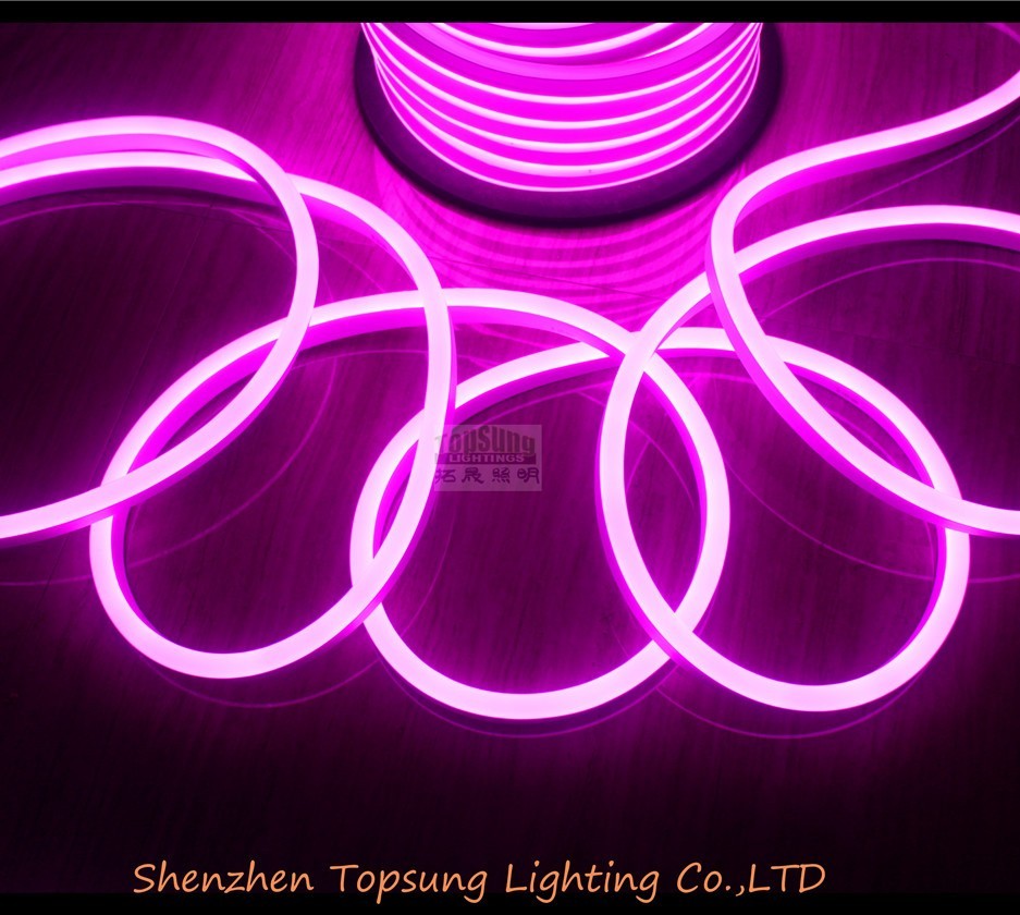 50m Decorative Led Rope Light 220v Long Life And Durability