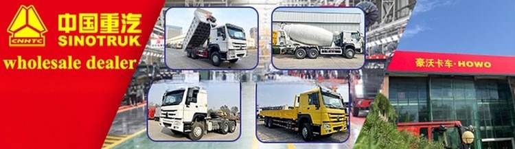 10 Wheel Sinotruk Howo 6x4 Tipper Truck 20CBM Capacity Howo Dump Truck LHD Drive