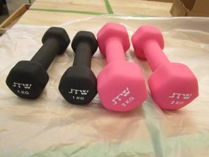 China Fitness Spare part Casting gDumbbell wholesale