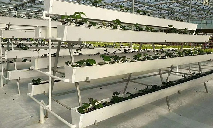 Strawberry Hydroponic Growing System Vertical Planting Cultivation PVC Gutter Indoors For Home