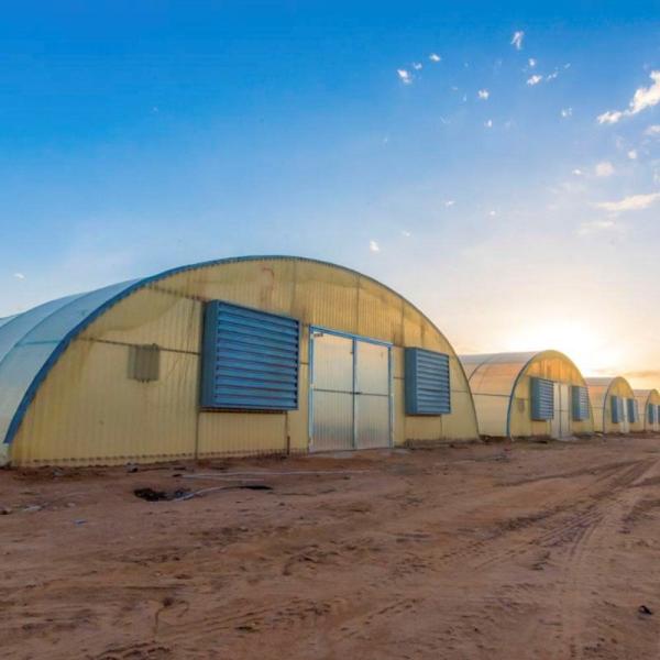 Industrial Poly Tunnels For Gardens Head Roof Yellow Film Tunnel Greenhouse
