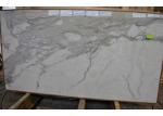 Morden Design Italy Calacatta Marble Slab , Marble Wall Slab 20mm Thickness