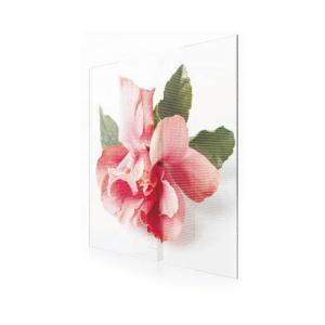 China Ultralight design glass display EXCEL LED wholesale