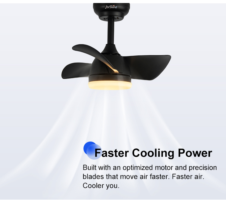 ceiling fan
