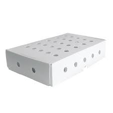 PP Corrugated Plastic Box for Vegetable and Fruit Agriculture Packing box