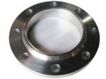 ANSI Stainless Steel Forged Flange