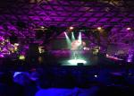 Clear View HD Entertainments Video LED Display P4 LED Screen