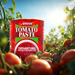 China 340g Bottle Ketchup Tin Tomato Paste With Salt Citric Acid wholesale