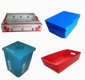 China 2400x1200 2440x1220 Fruit Vegetable Box Plastic Corrugated wholesale