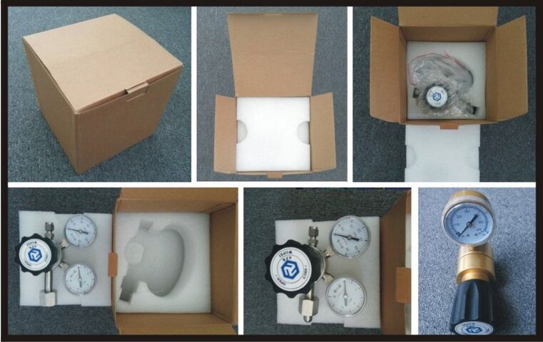 Liquid Stainless Steel Pressure Regulator Panel Mounting With Gauge Manometer