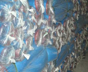 China Nylon window mosquito netting,sea food drying blue plastic net wholesale