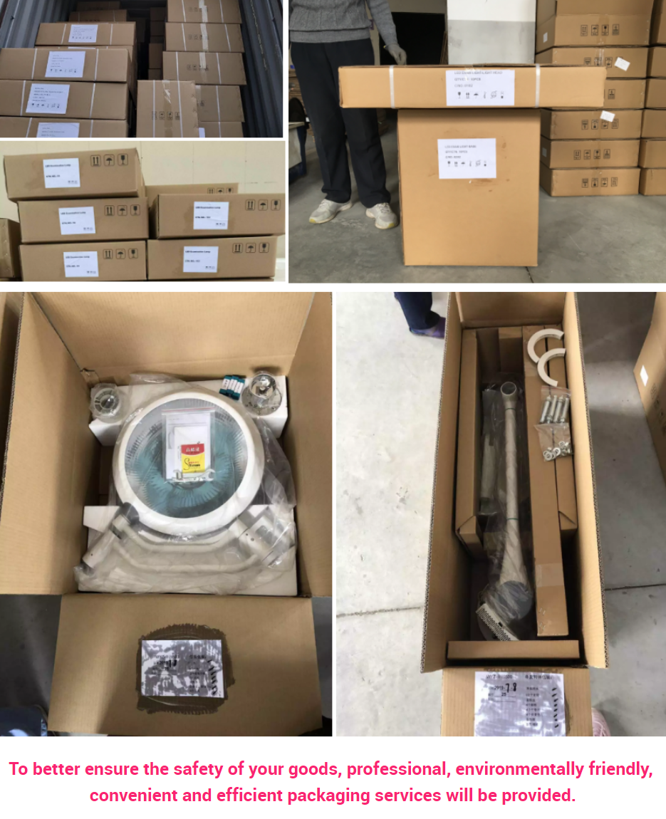 Veterinary mounted ceiling double head halogen surgical operation light ot led surgical lamp price