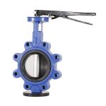 316/ 304 Cast Iron Butterfly Valve