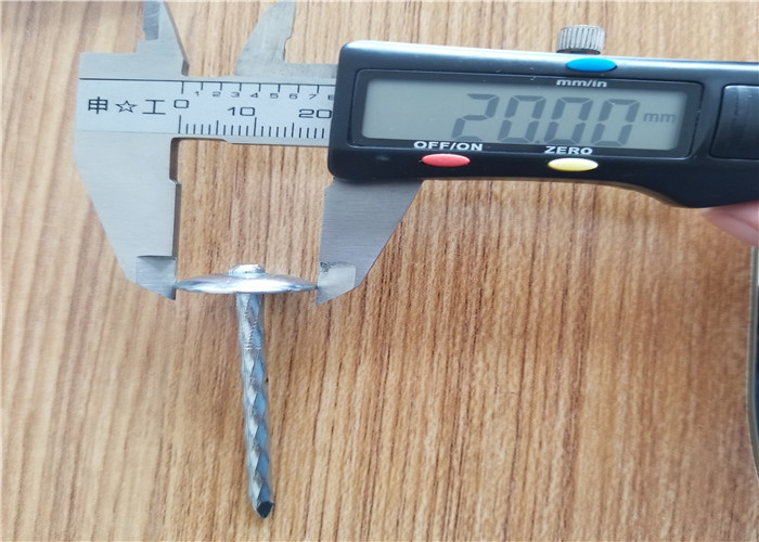 25kg carton Galvanized Twisted Umbrella Roofing Nails