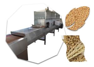 China Agricultural Food Sterilization Equipment Food Crops Microwave Sterilization Machine wholesale